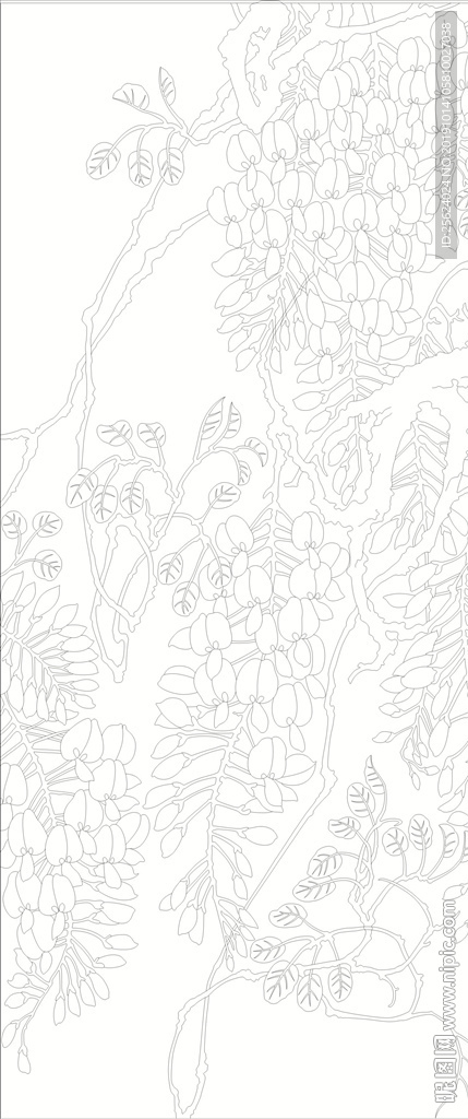 禾雀花