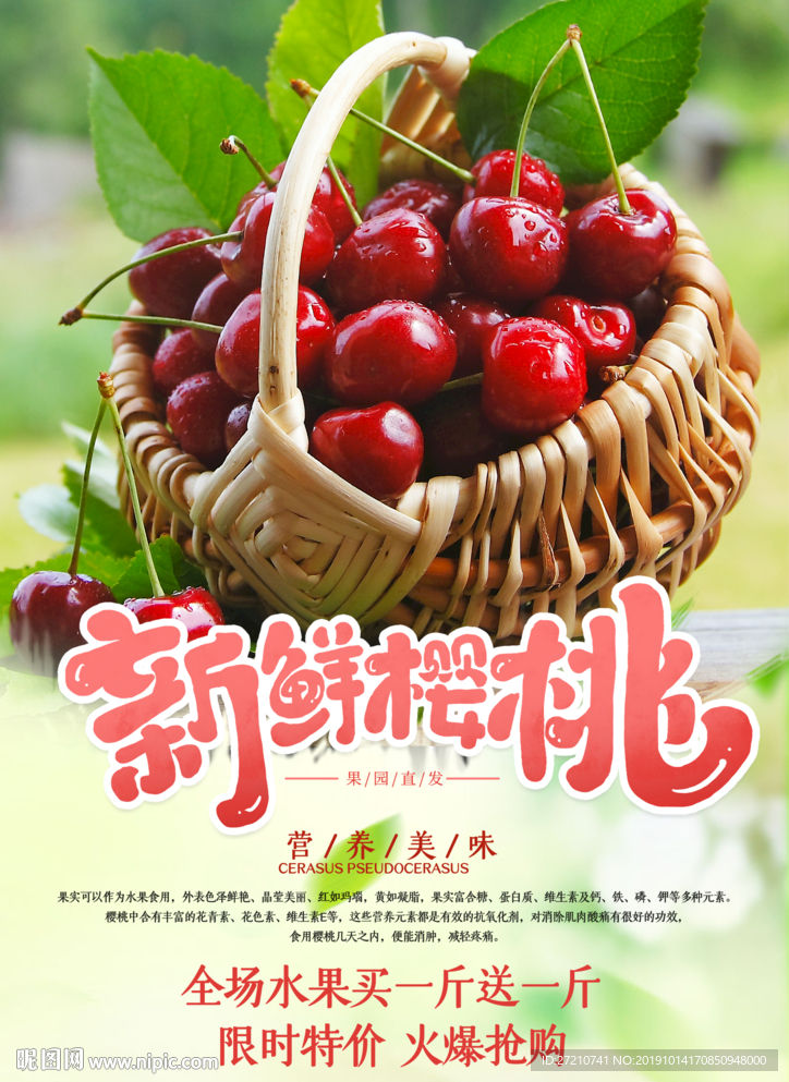 樱桃 山东樱桃 大樱桃 车厘子