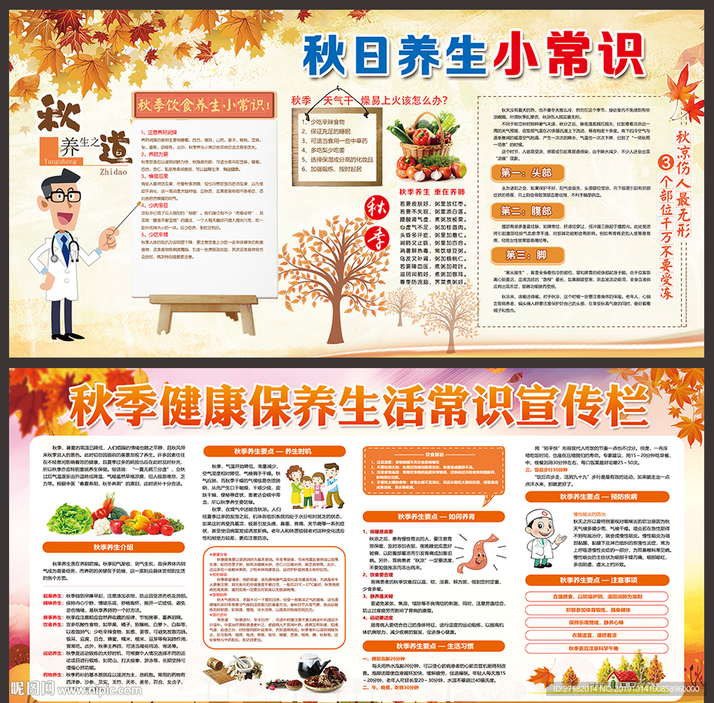 秋季健康教育知识宣传栏