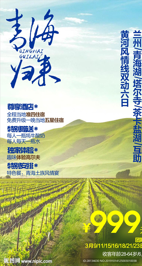 C-青海归来