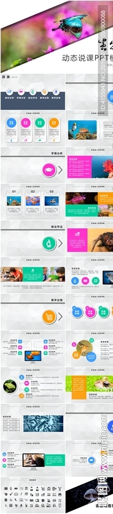 2020微立体炫彩生物说课模板