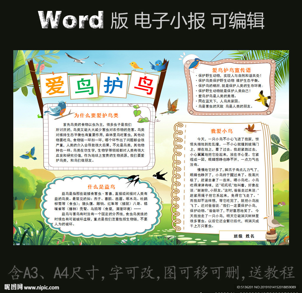 word版电子小报爱鸟护鸟