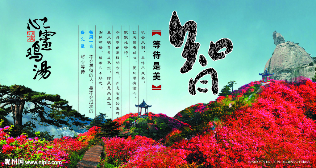 麻城龟峰山杜鹃花海心灵鸡汤