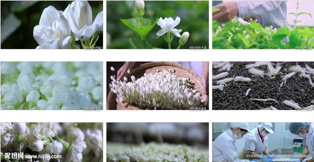 茶叶茉莉花茶叶宣传片茶叶茉莉花