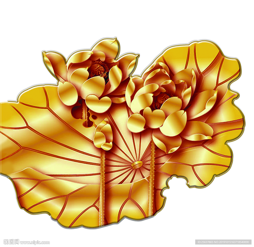 荷花