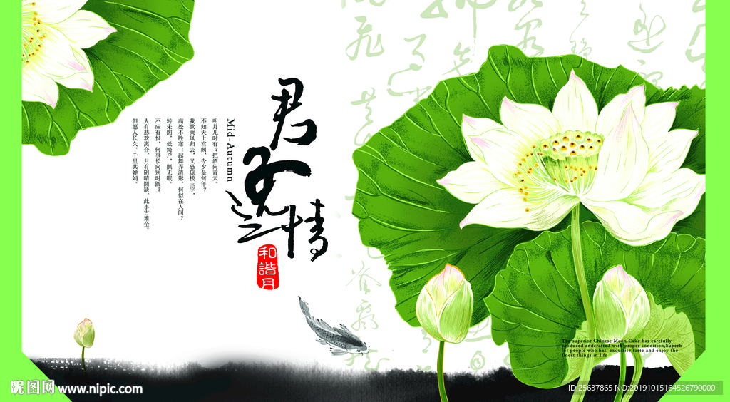 荷花