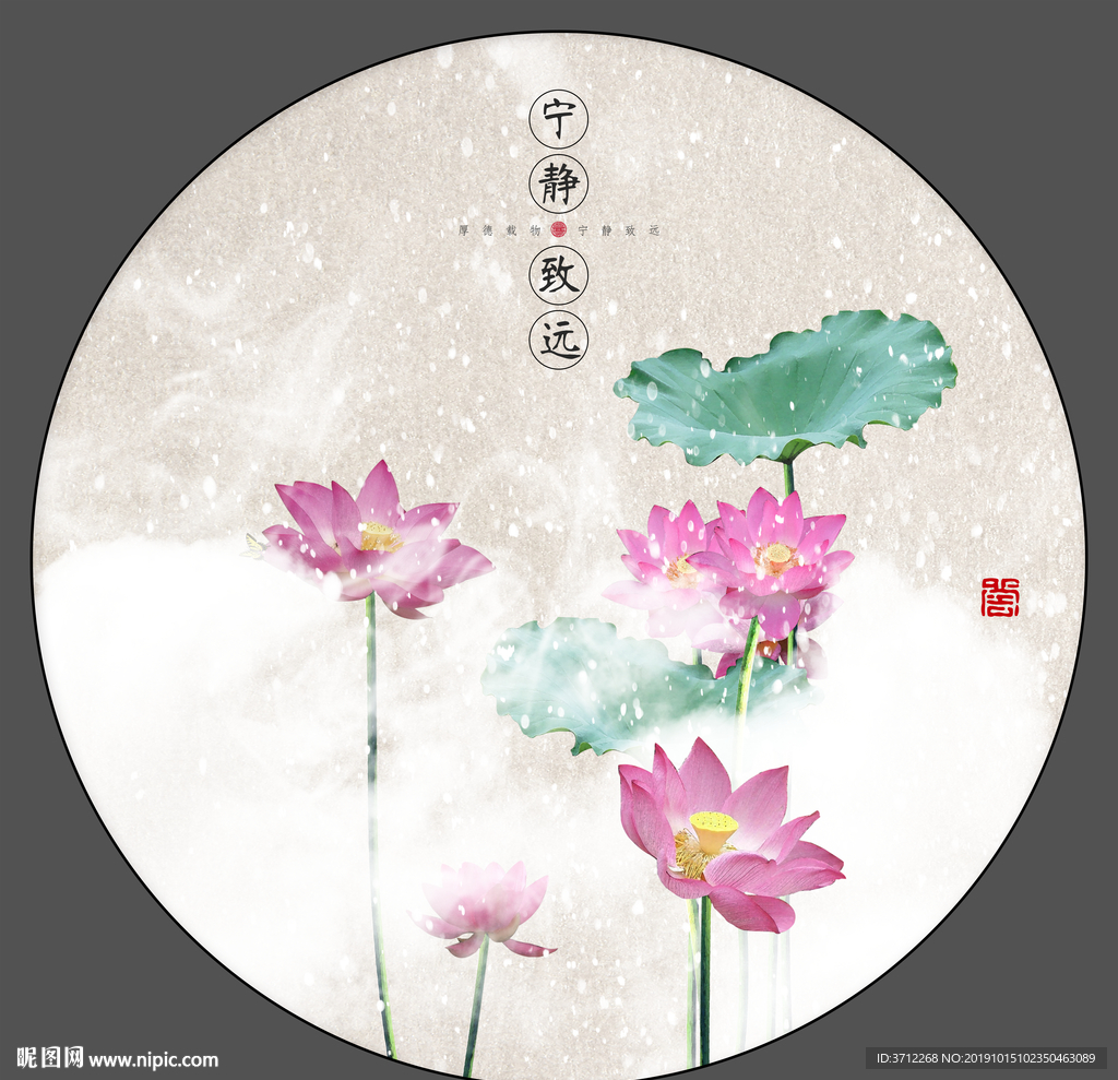 荷花工笔画