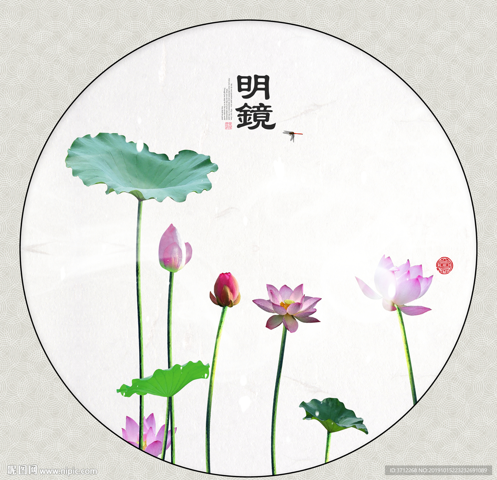 国画荷花