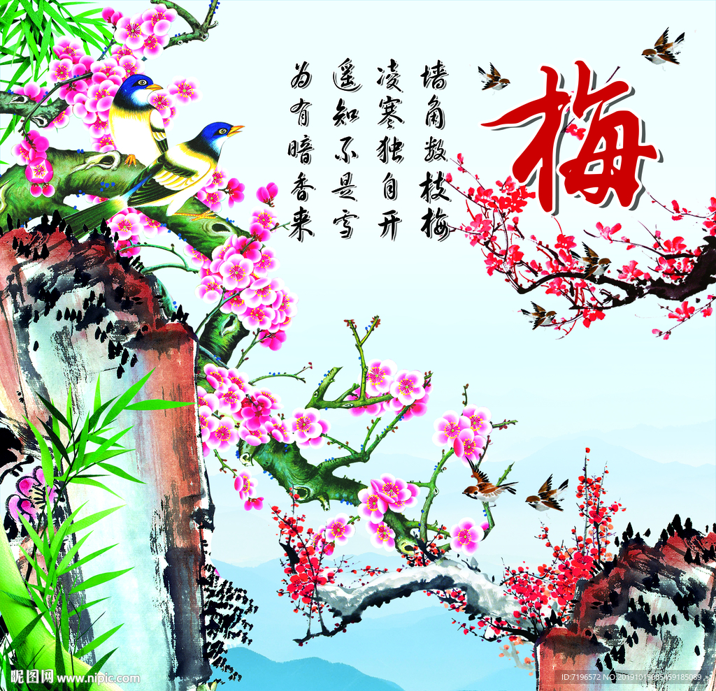 梅图片
