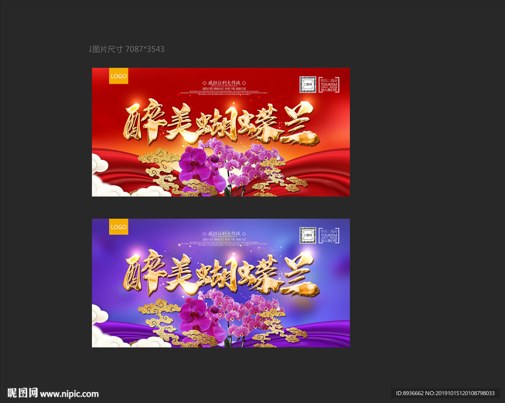 蝴蝶兰