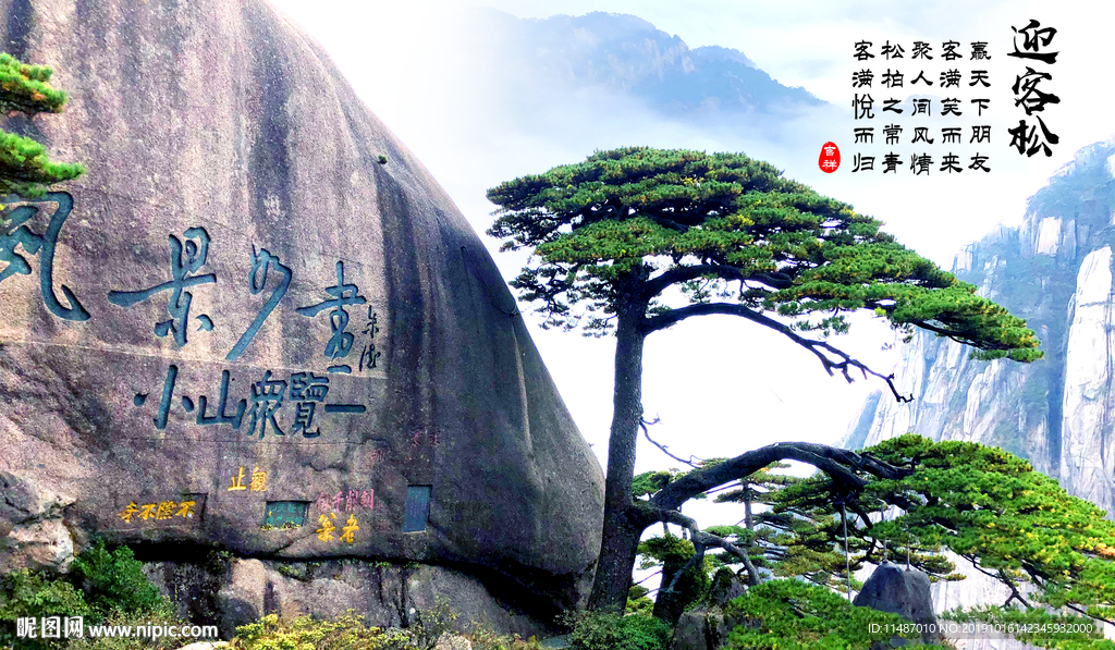 黄山迎客松