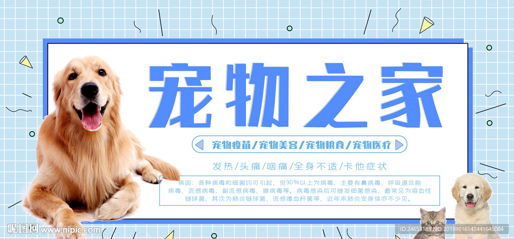 宠物
