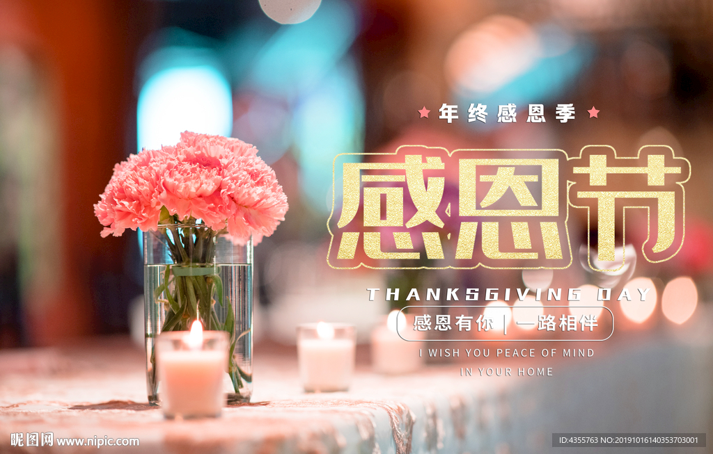 感恩节 感恩节促销 感恩t