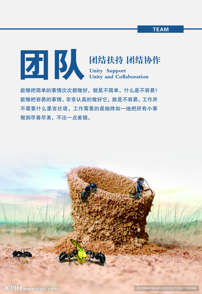 团队
