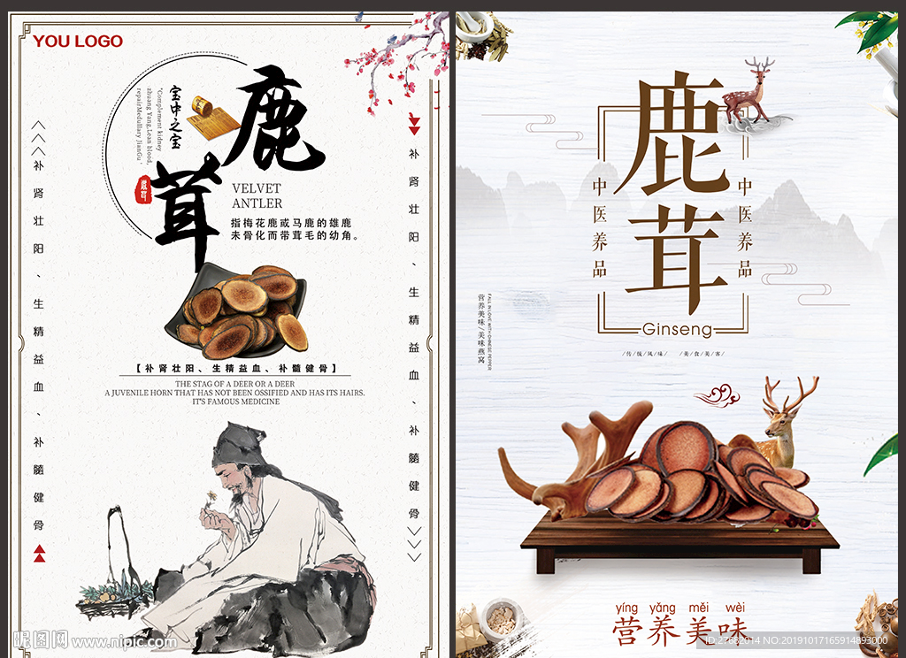 鹿茸宣传挂图