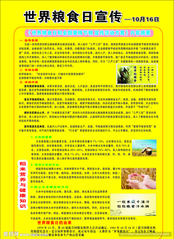 世界节粮日彩页