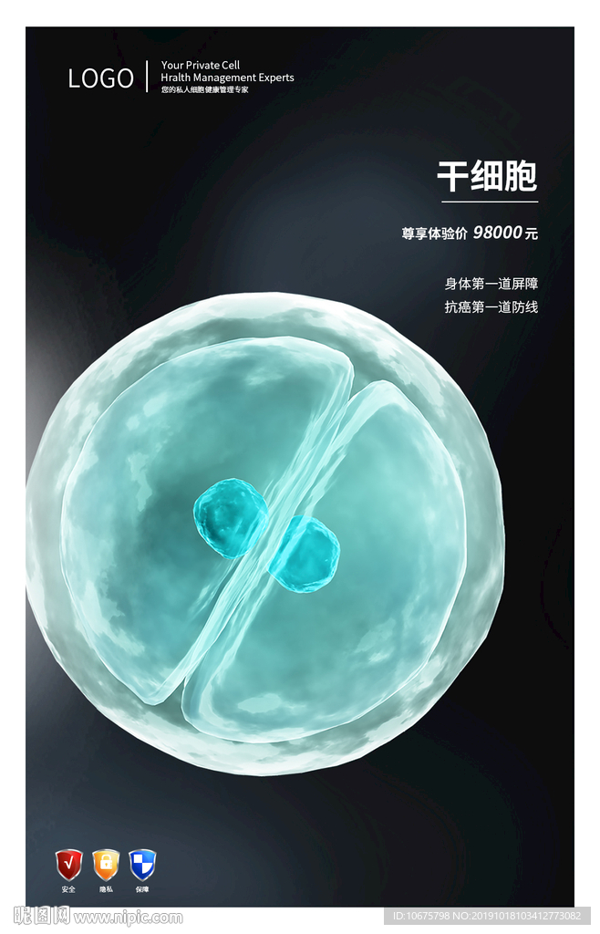干细胞