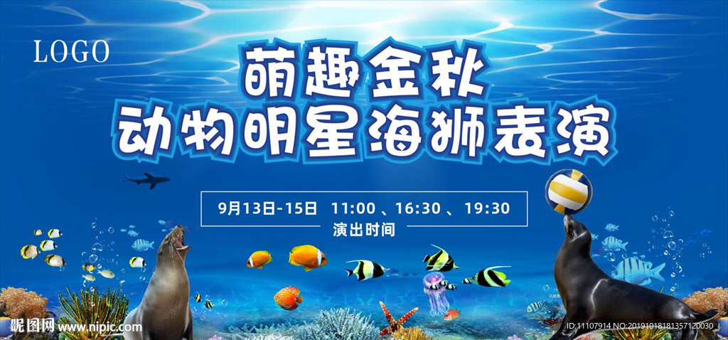 海狮 海洋 动物 金秋