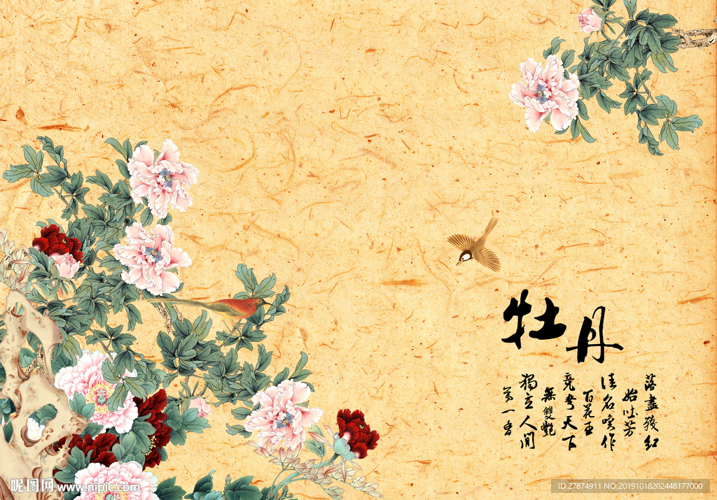 牡丹