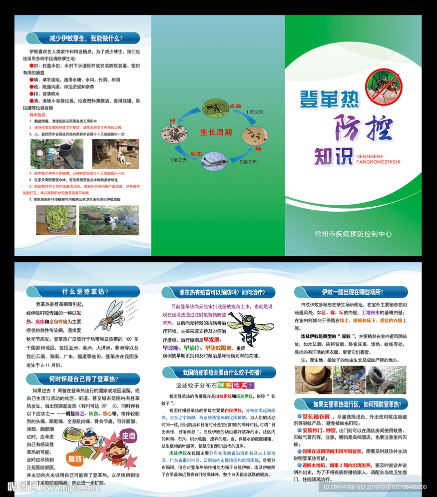 登革热三折页