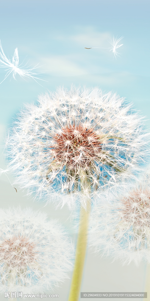 蒲公英现代玄关画 TIF分层