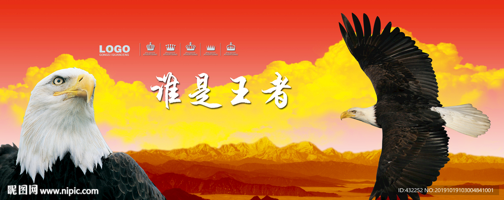 老鹰
