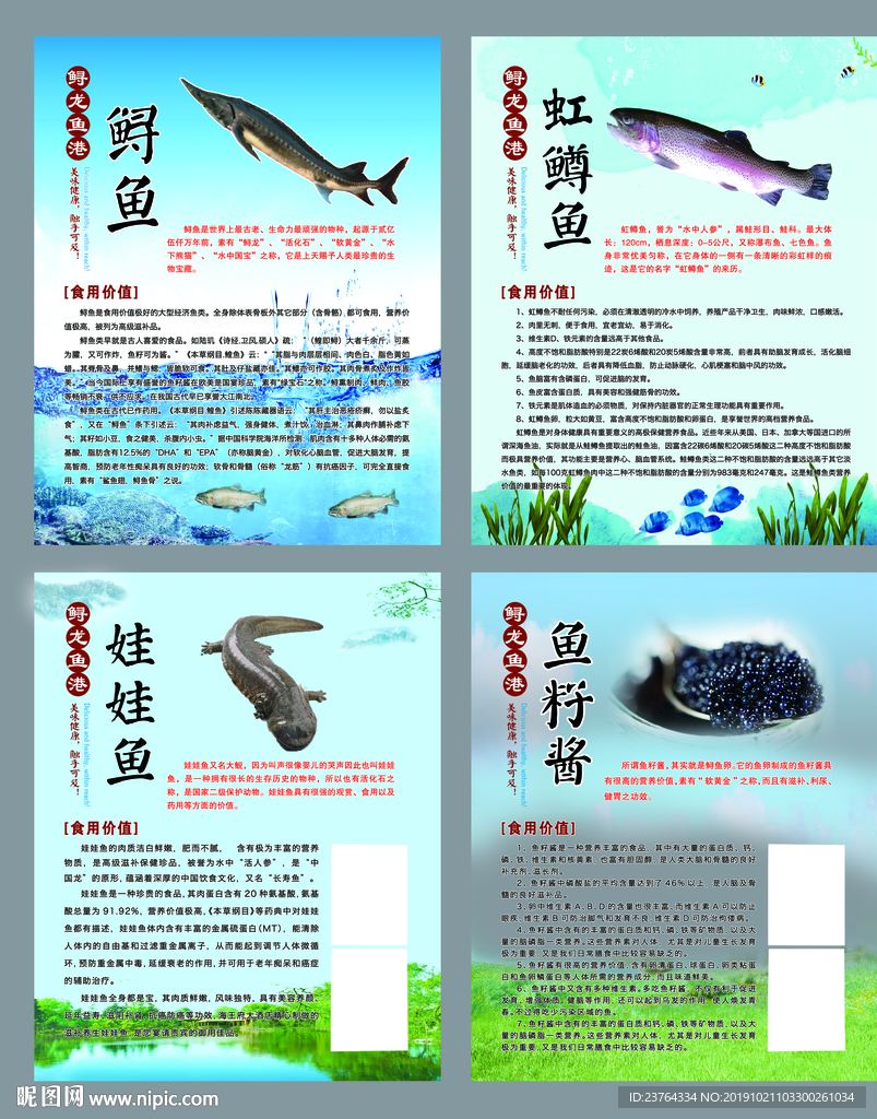鱼类简介展板