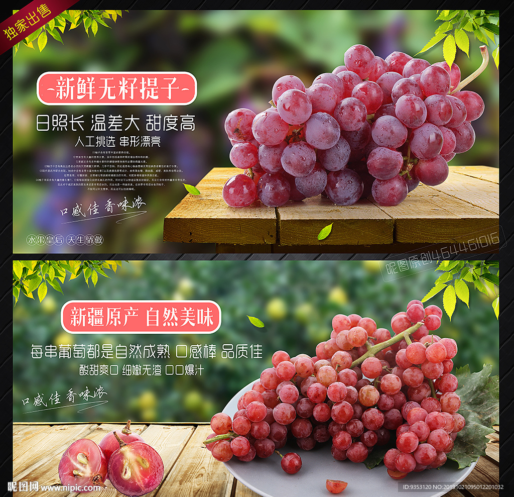 提子 红缇 葡萄