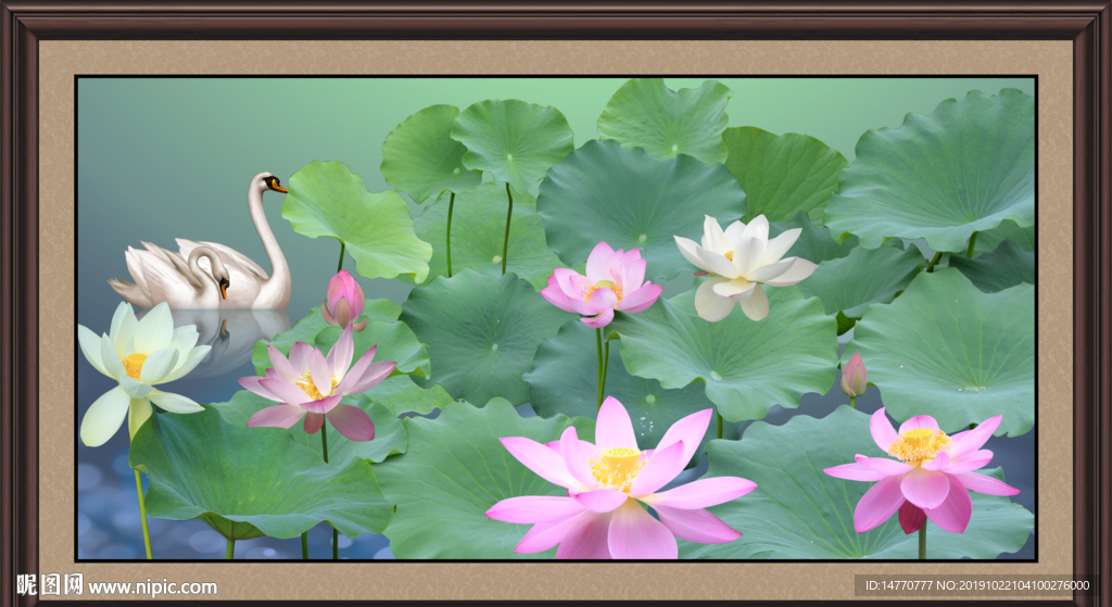 国画荷花