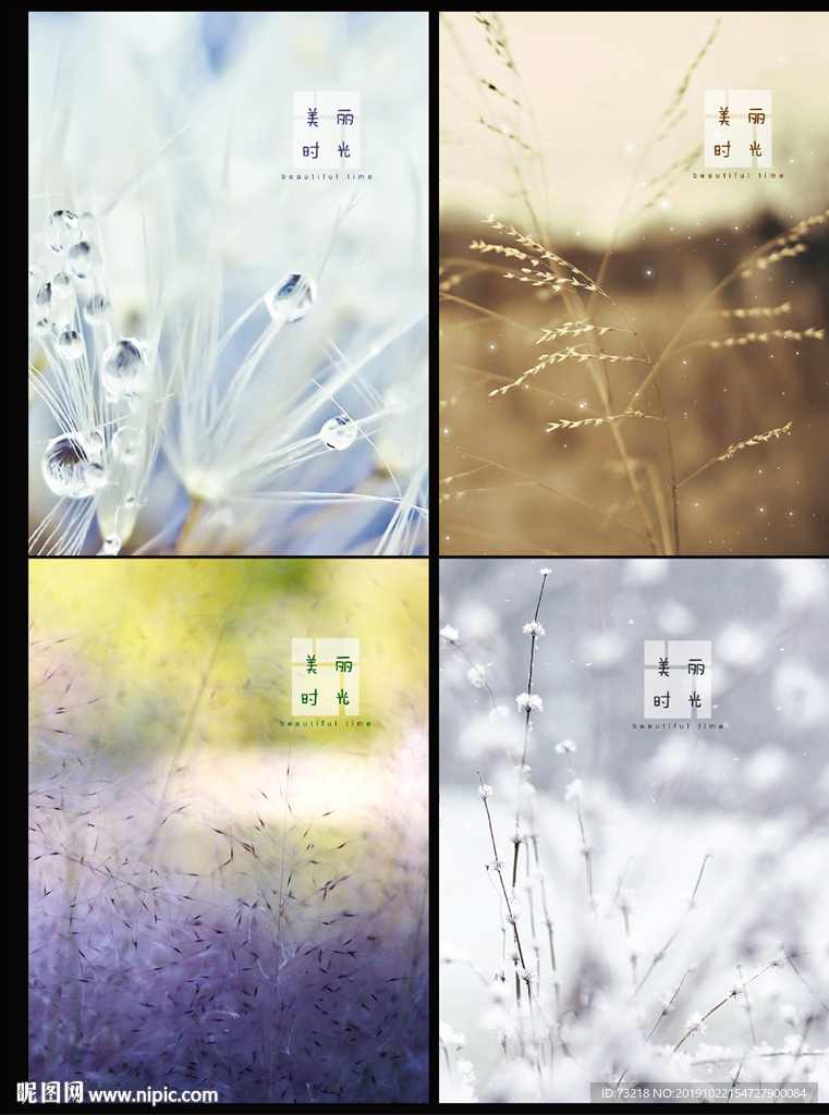 美丽时光
