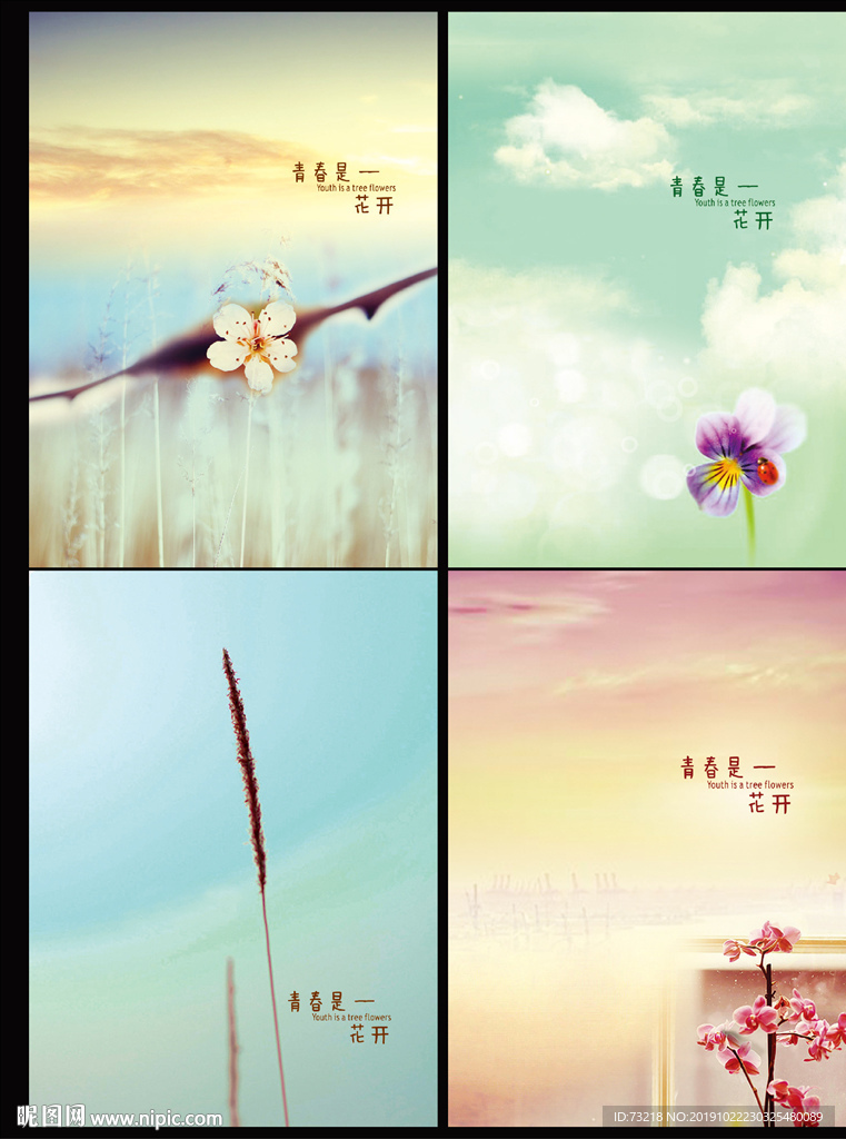 青春是花开