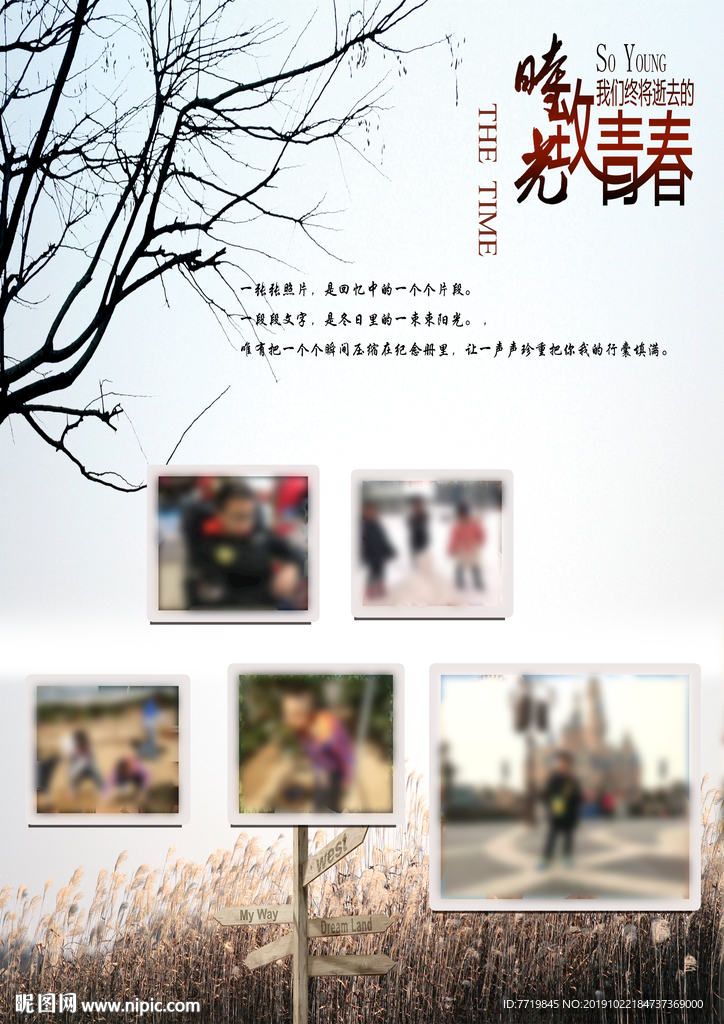 成长档案