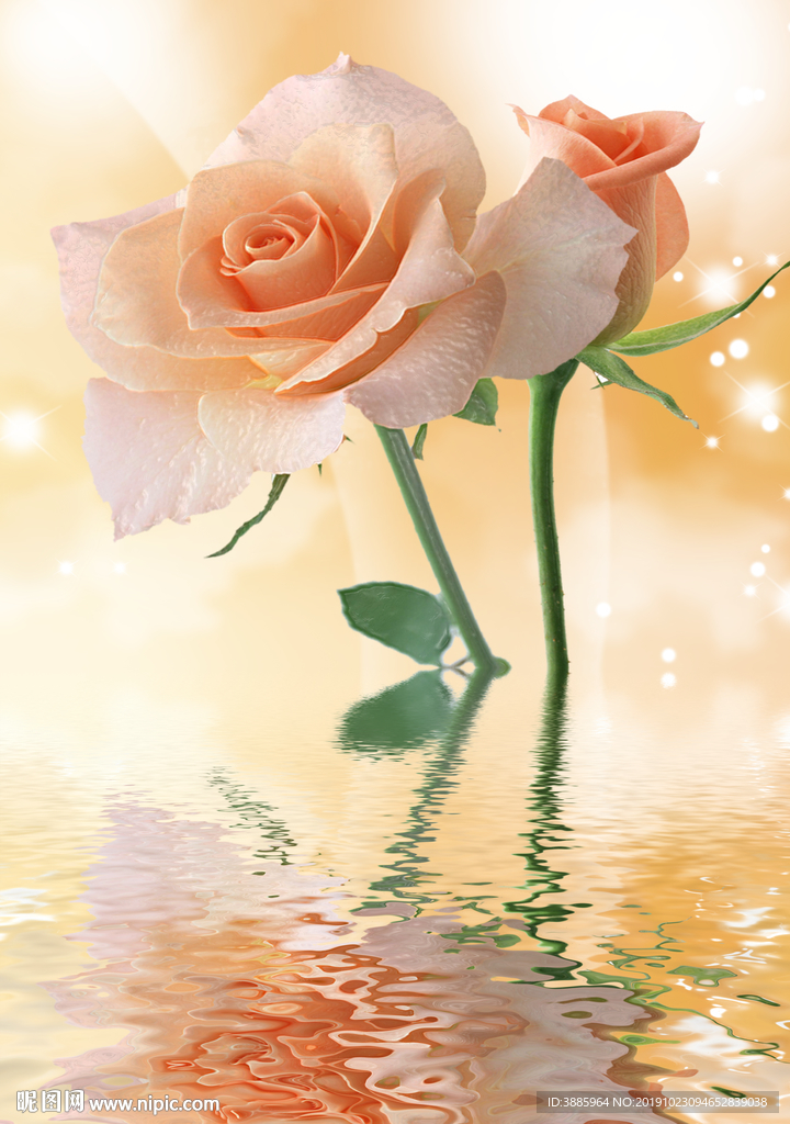 欧式 花纹