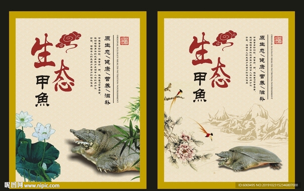 甲鱼