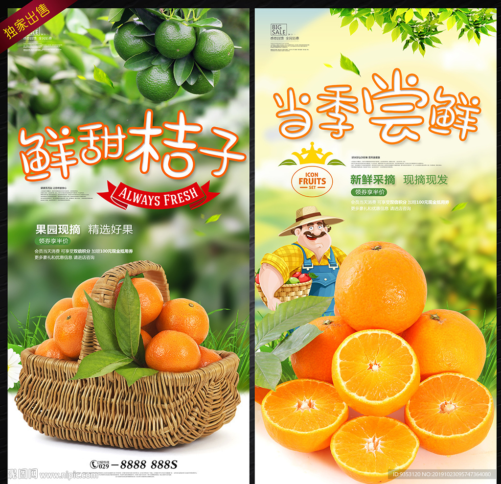 果冻橙 桔子 橙子 蜜桔