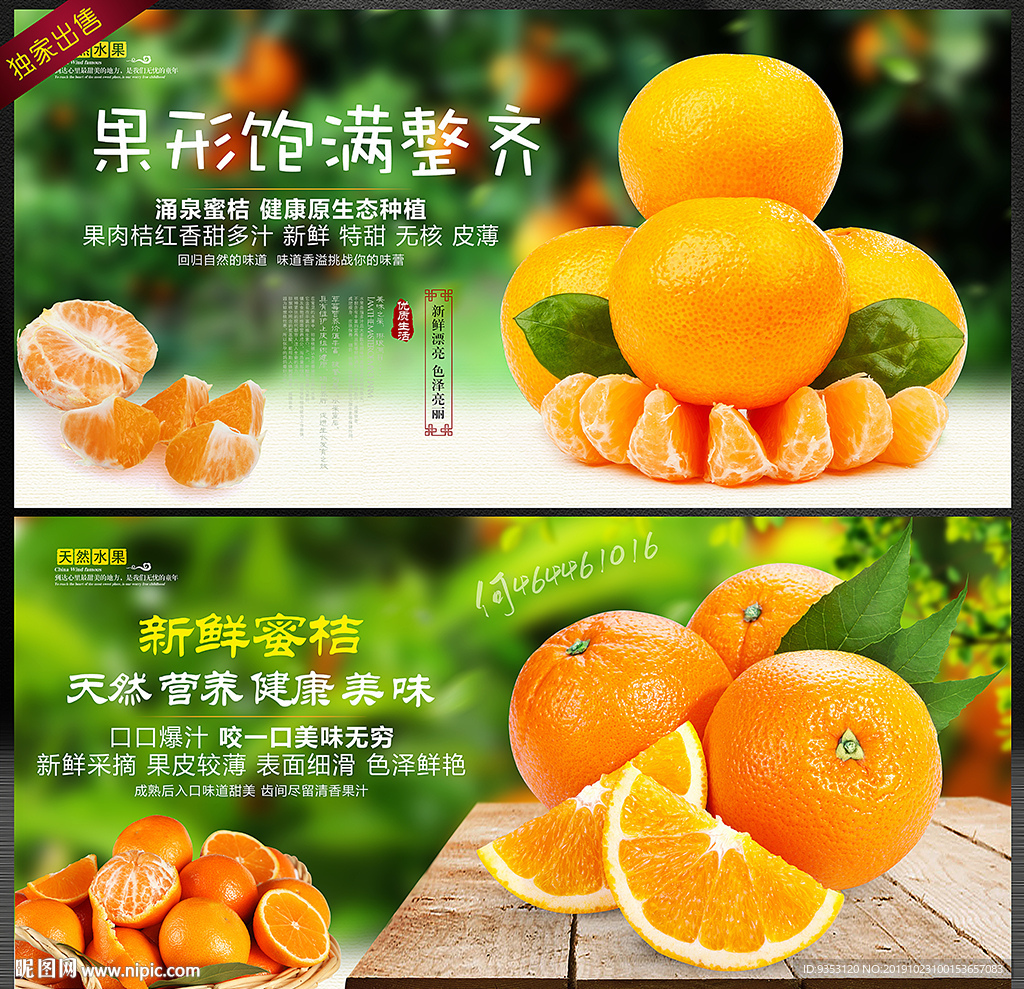 桔子 蜜桔 橘子 脐橙