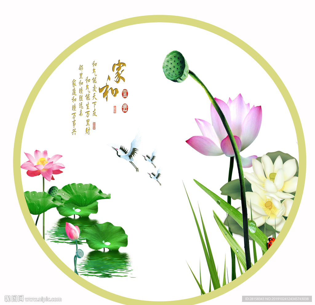 荷花
