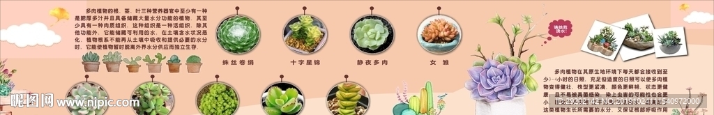 亲子农村多肉展板