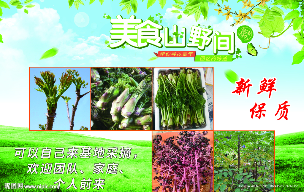 美食山野间 野菜海报