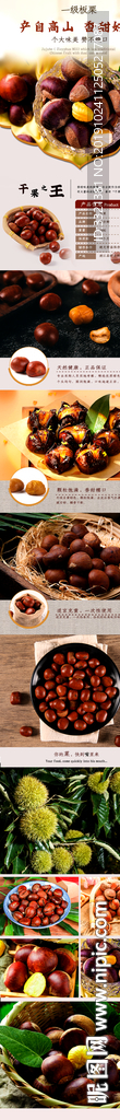 板栗食品详情页