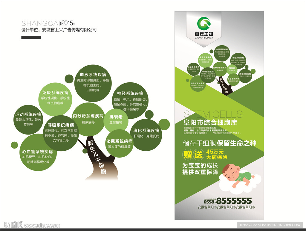 干细胞展架