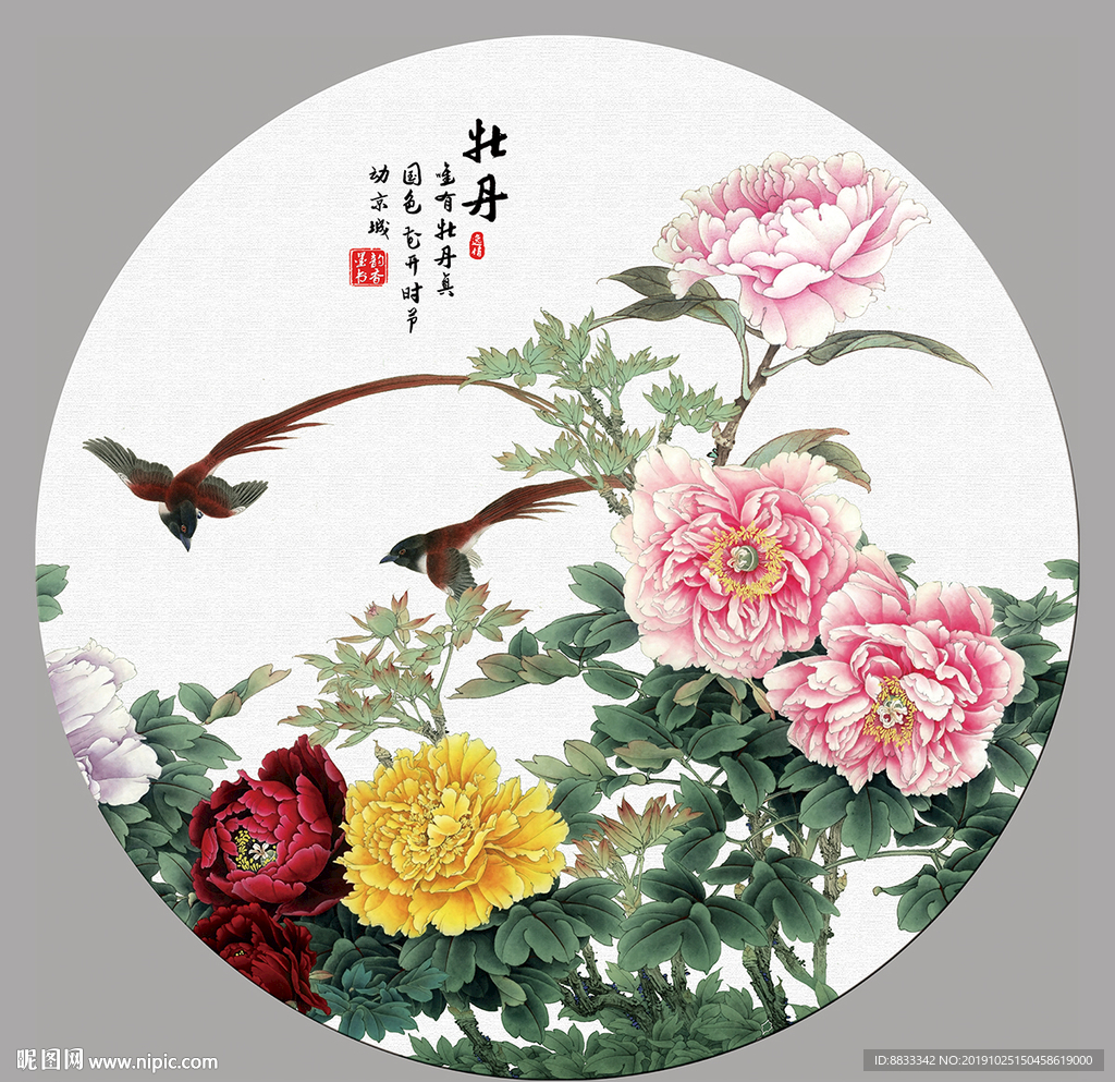 牡丹花