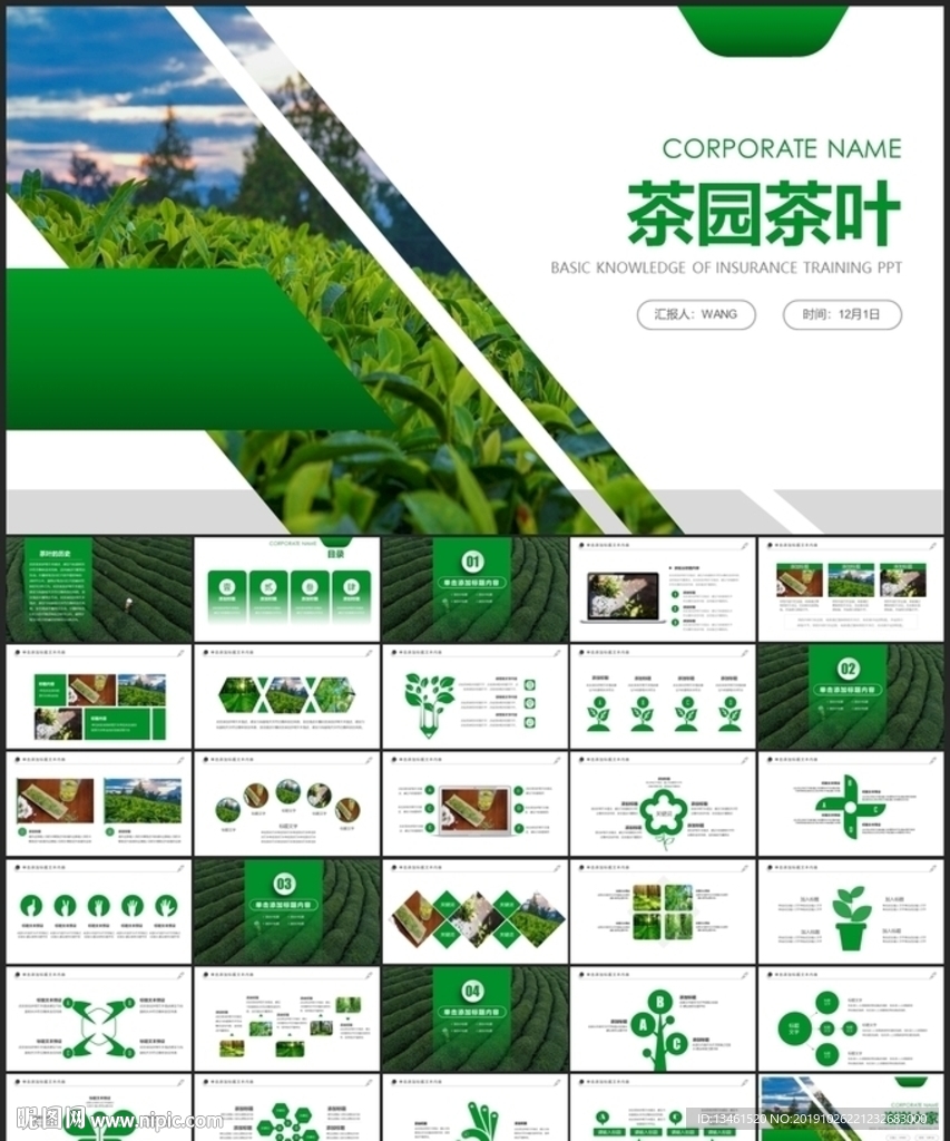 茶园茶叶种植PPT