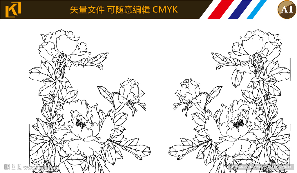 牡丹花