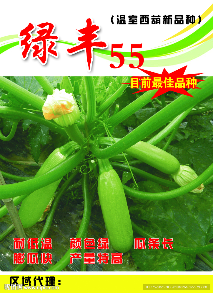 西葫芦