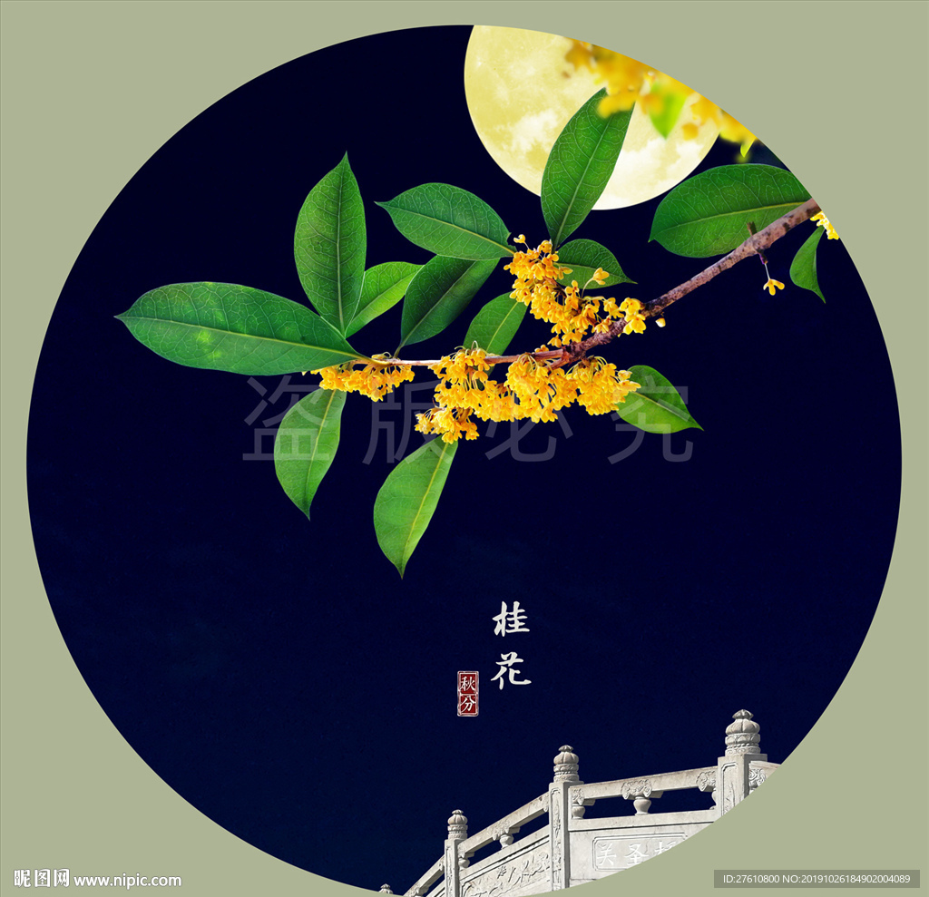 桂花