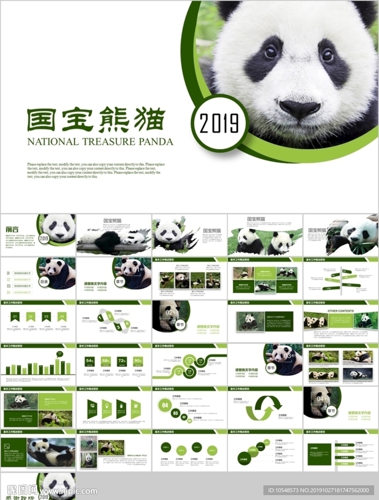 保护动物吃竹子国宝熊猫野生动物