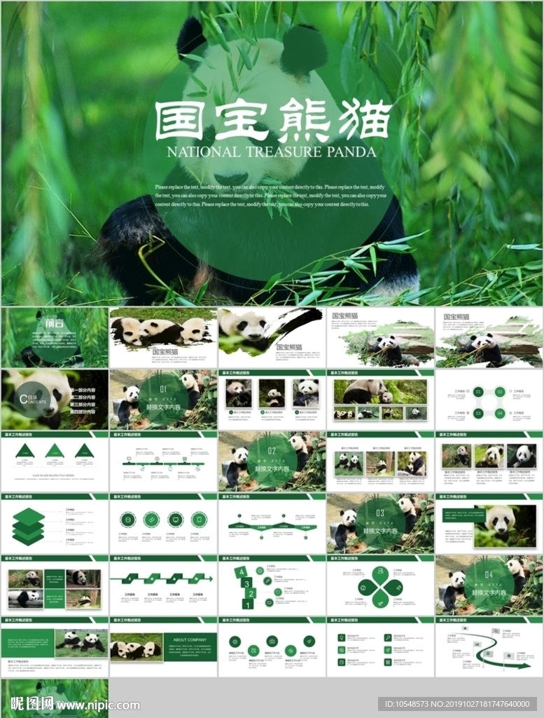 保护动物吃竹子国宝熊猫野生动物