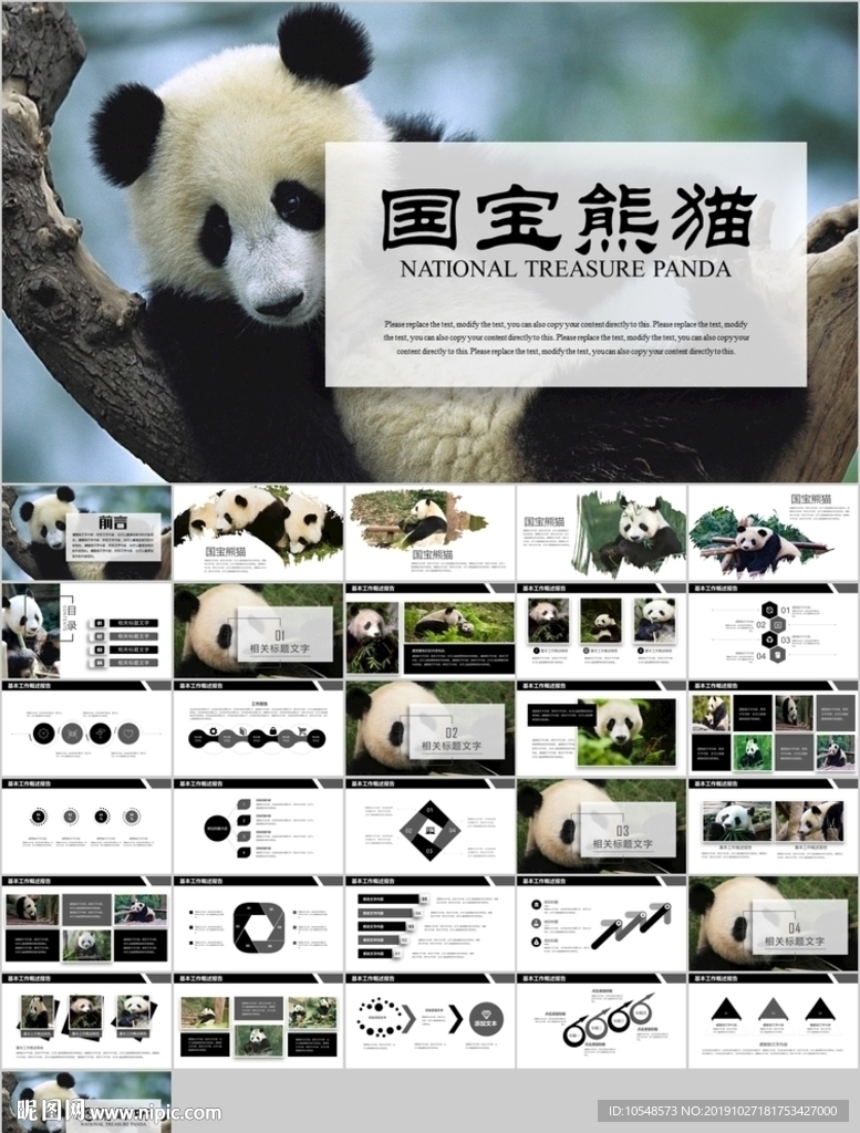 保护动物吃竹子国宝熊猫野生动物