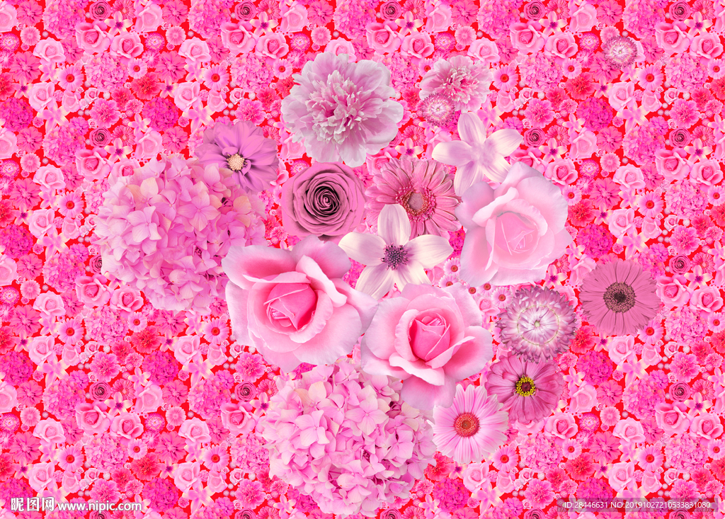 网红拍照背景墙